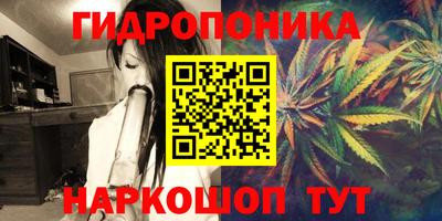 ECSTASY Можга