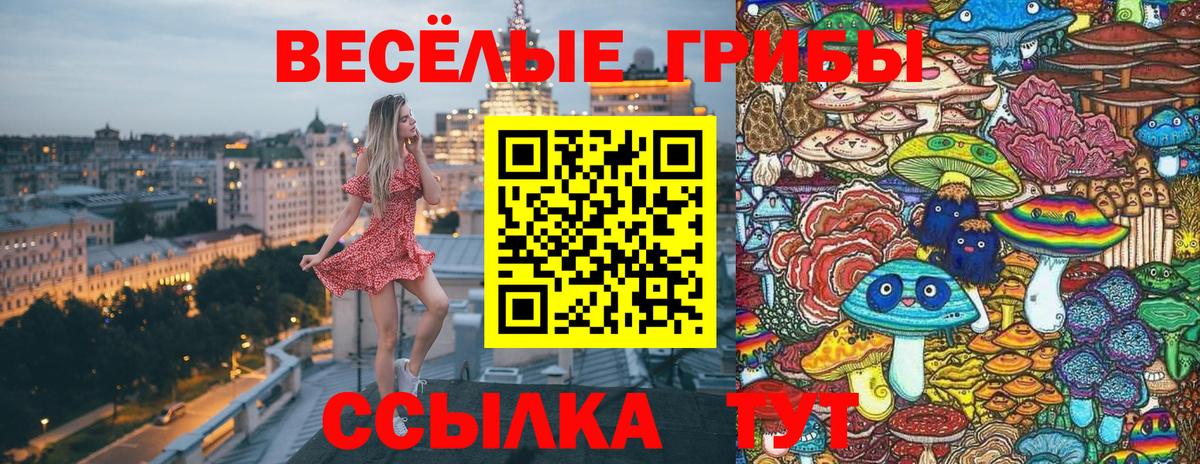 Советская Гавань  Галлюциногенные грибы Magic Shrooms  наркота  Вход с VPN  Псилоцибиновые грибы Psilocybine cubensis 